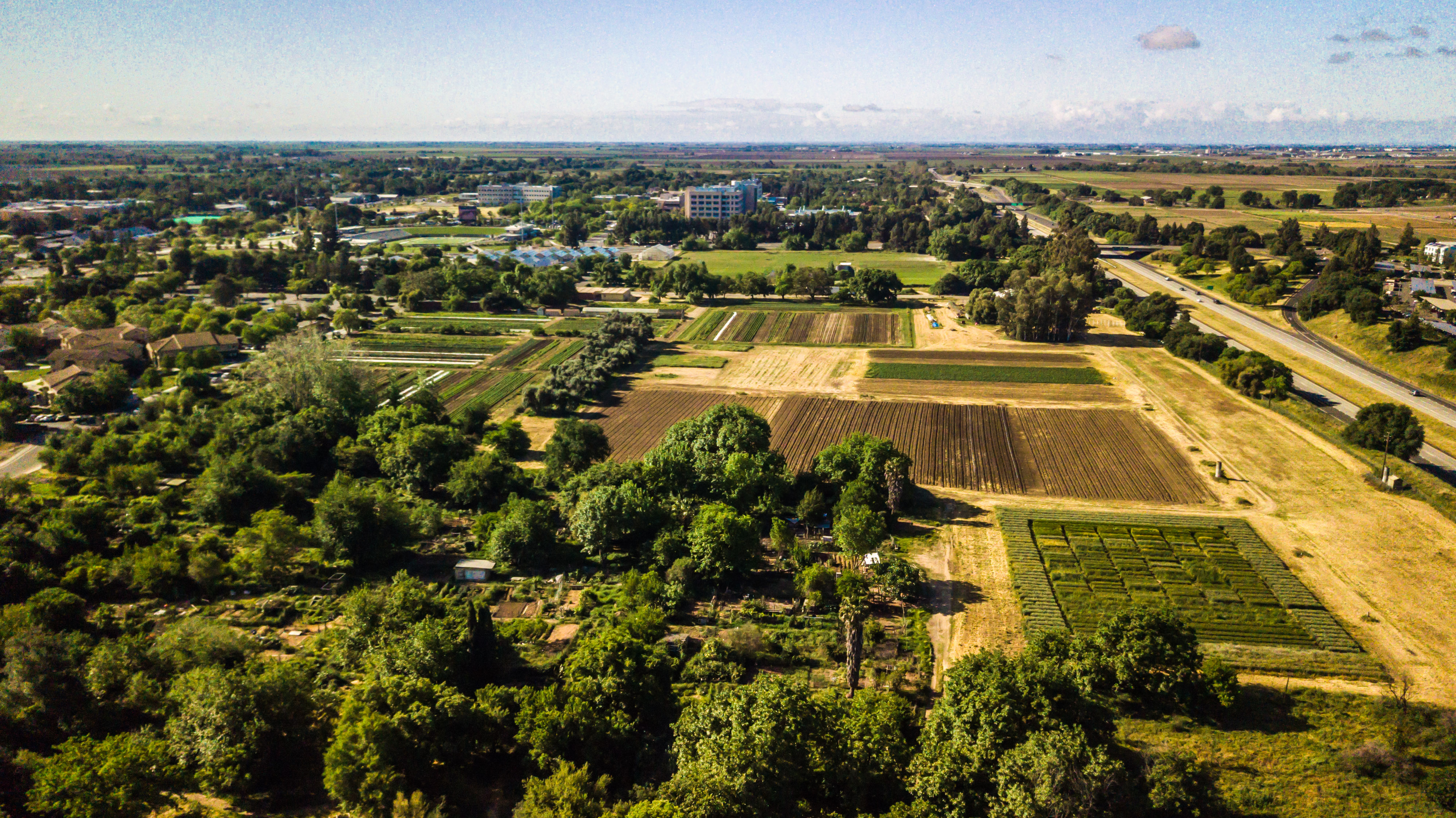 Aerial photo of UC Davis Student Farm teaching and research fields